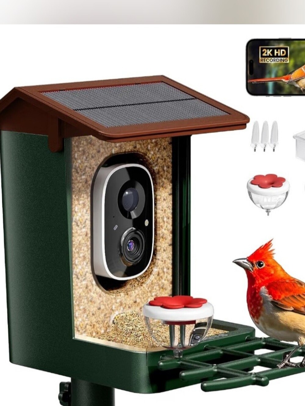 New Smart Solar Birdfeeder With Camera